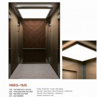 Mrl Elevator Made in China