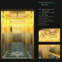 Mrl Passenger Elevator with High Speed
