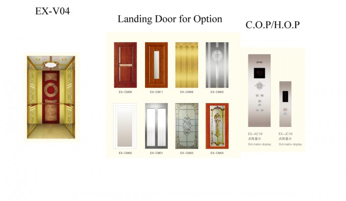 Luxuary Decoration Home Elevator Image1