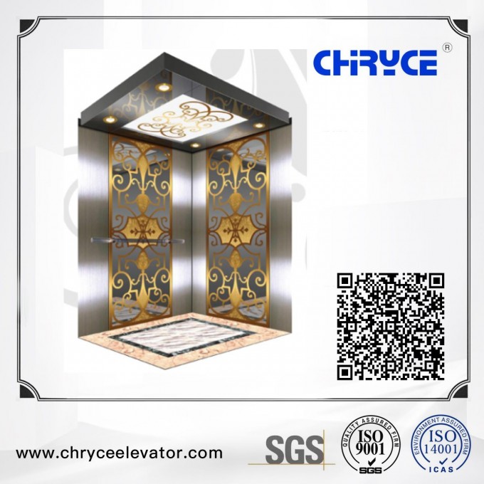 Passenger Lift with Low Price and Low Noise Image1