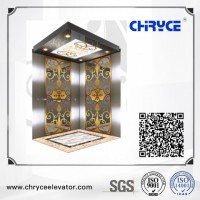 Passenger Lift with Low Price and Low Noise