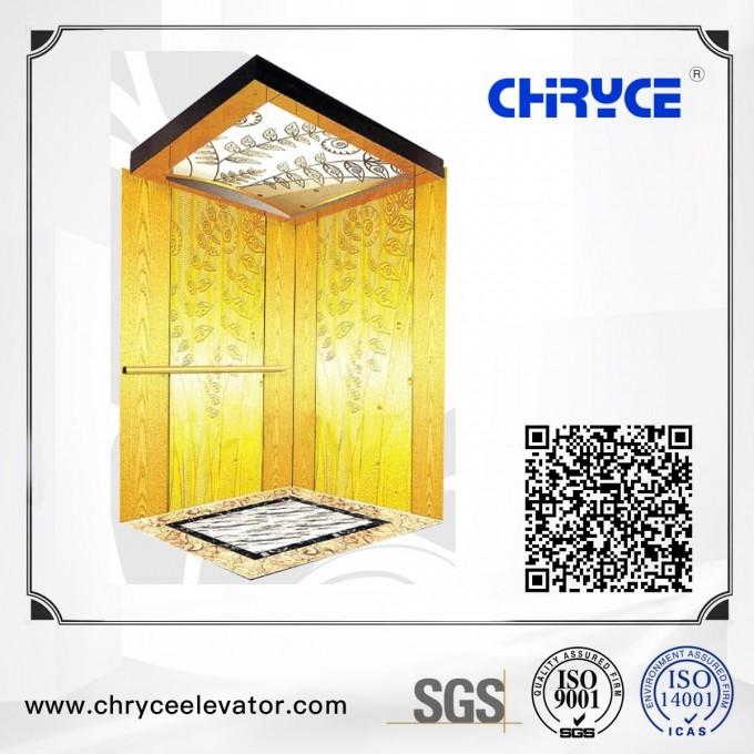 Standard Configuration Passenget Lift with High-Grade Quality Image1