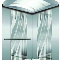 Passenger Elevator (YD-03-10)