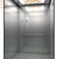 Brushed Stainless Steel Passenger Lift by Srh China