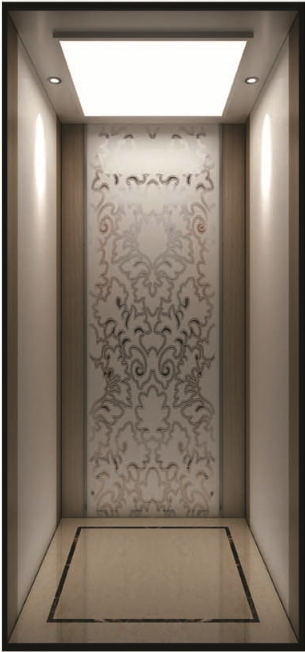 Home Lift Image1