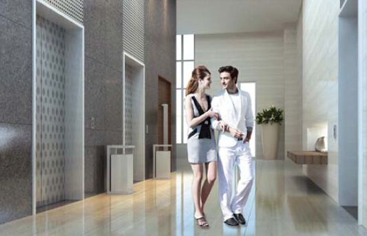 Low Noise Passenger Elevator Provide You a Pleasant Home Image1
