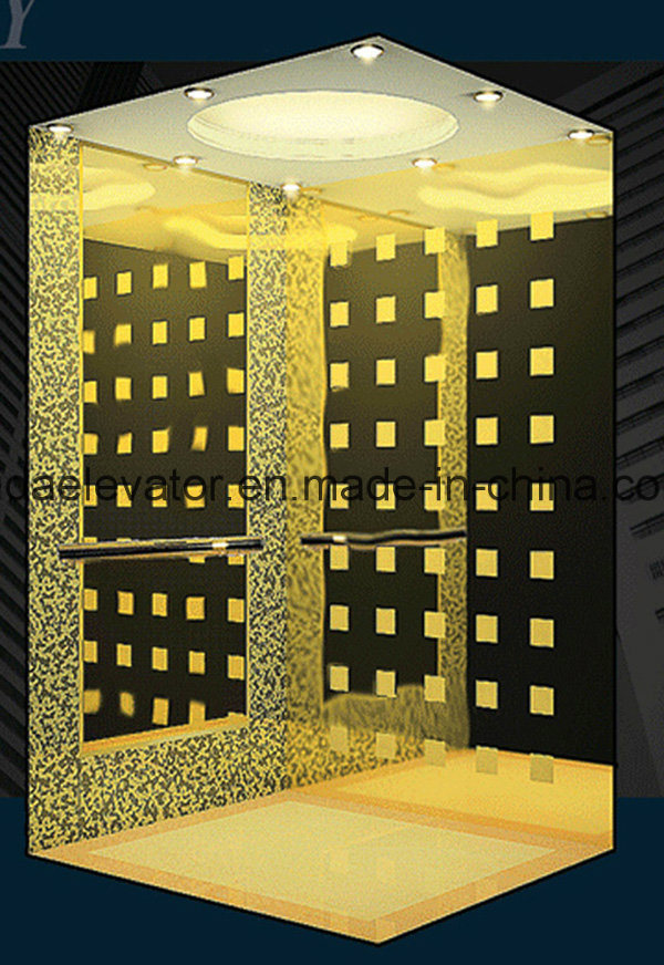 Luxurious Passenger Elevator with Good Price (JQ-N004) Image1