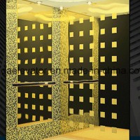 Luxurious Passenger Elevator with Good Price (JQ-N004)