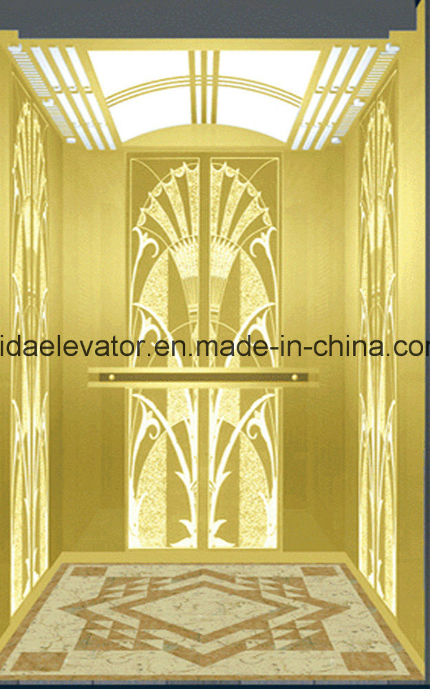 Luxury Home Elevator with Germany Technology (JQ-N007A) Image1