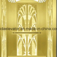 Luxury Home Elevator with Germany Technology (JQ-N007A)