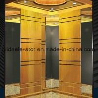 FUJI Spacesaving Innovative Passenger Elevator (JQ-MZ03)