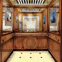 Aote Hydraulic Passenger Elevator with Elegant Shape (JQ-MZ05)