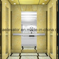 Vvvf Driving Passenger Elevator (JQ-N001)