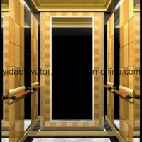 Machine Roomless Passenger Elevator with Ce (JQ-N019)