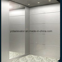 Professional Manufacturer of Passenger Elevator (JQ-N023)