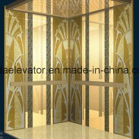 Passenger Elevator From Trustworthy Manufacturer (JQ-N024)