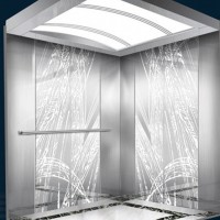Passenger Elevator with Mirror Etched Stainless Steel (JQ-B009)