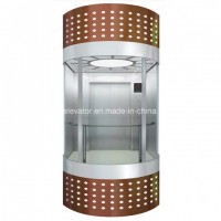 Hsgq-1403-Nice Panoramic Elevator Without Machine Room