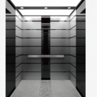 Passenger Elevator with Titanium Black Mirror Stainless Steel (FJ-W02)