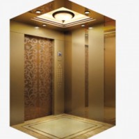FUJI Yida Passenger Elevator Cabin with Rose Golden Mirror