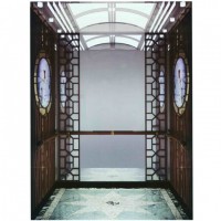 Luxury Passenger Elevator with Mitsubishi Quality