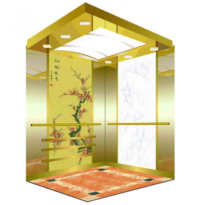 Luxury Passenger Elevator with Professional Support Sevice Image1