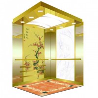Luxury Passenger Elevator with Professional Support Sevice