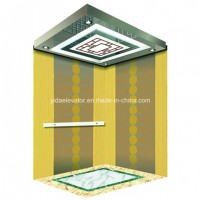 Energy-Saving Type Passenger Elevator From China