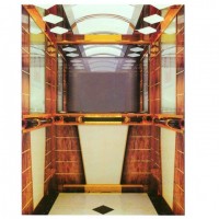 FUJI Quality Passenger Elevator Produced in China
