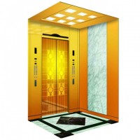 China Top Passenger Elevator with FUJI Quality