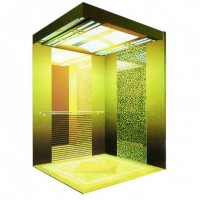 Energy-Saving Type Passenger Elevator with Otis Quality