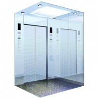 High Level Residential Passenger Elevator with Professional Support Sevice