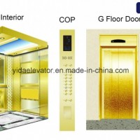 Epss Qualified Passenger Elevator Manufacturer
