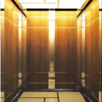 FUJI Yida Passenger Elevator Cabin with Wooden and Mirror Stainless Steel Line