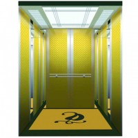 Luxury Passenger Elevator From Professional Manufacturer