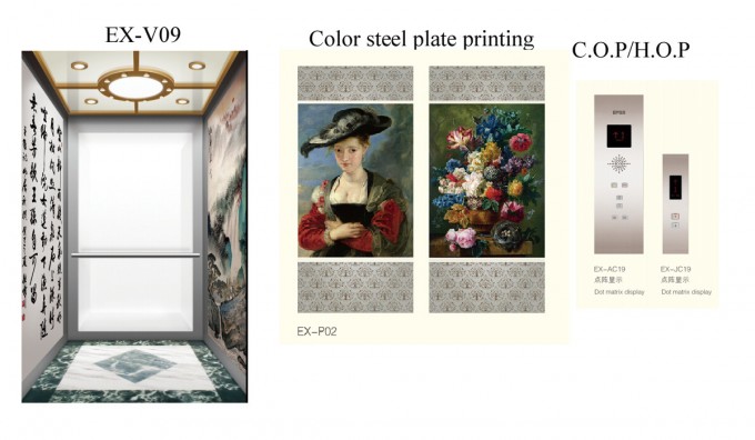 Cabin Wall Painting Home Elevator Image1