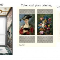 Cabin Wall Painting Home Elevator