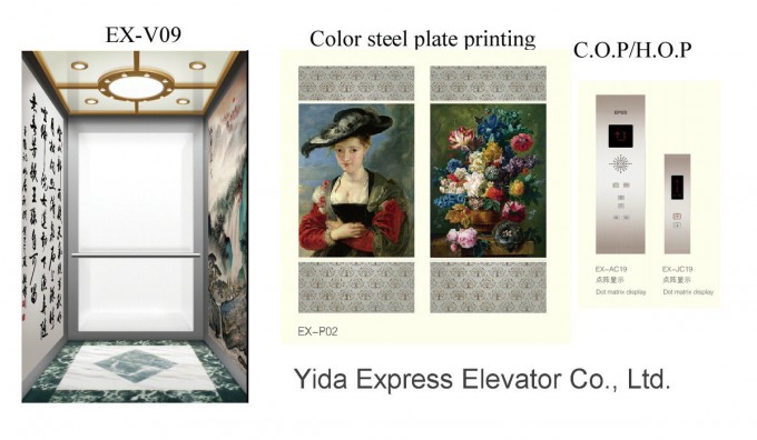 Unique and Luxury Decoration Home Elevator Image1