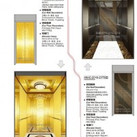 Small Machine Room Passenger Elevator Chinese Manufacturer