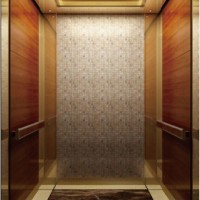 Passenger Elevator with Eac and Ce Certificate
