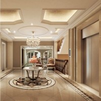 Commercial Passenger Lift with Rose Gloden Car Door