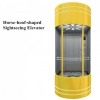 Tkg800-Co60 Sightseeing Elevator Glass Door Small Machine Room