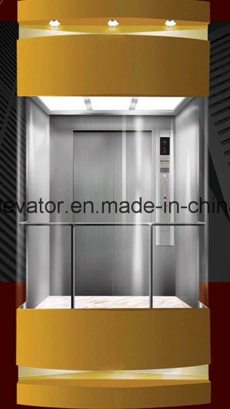 SGS Approved Sightseeing Elevator for Sale Image1