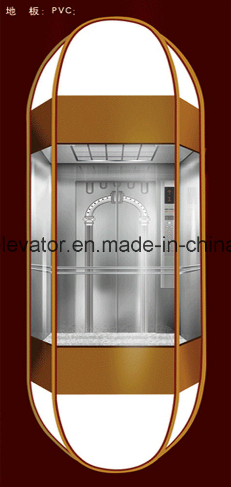 SGS Approved Sightseeing Elevator in 2016 Image1