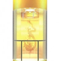 Panoramic Elevator with Type U-Q0802