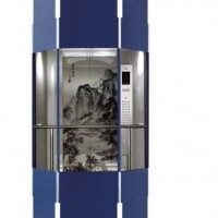 Germany Quality Small Machine Room Glass Observation Elevator (GRO20)