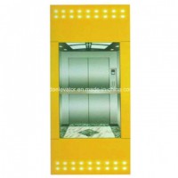 Sightseeing Elevator with Beautiful Design
