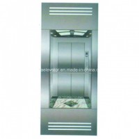 CE Approved Sightseeing Panoramic Elevator for Sale