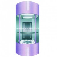 Machine Room Sightseeing Elevators with Full Glass Cabin Wall