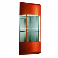 Standard Type Sightseeing Elevator with Small Machine Room